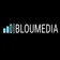 Bloumedia
