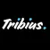 Tribius