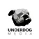 Underdog Media
