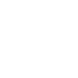 MintTwist