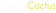 Smash Cactus Media
