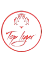 Top Liger Media
