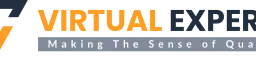 Virtual Experts Limited