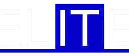 Elite IT Team