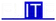 Elite IT Team