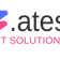 ATES IT SOLUTIONS LTD.