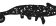 Kameleon Digital