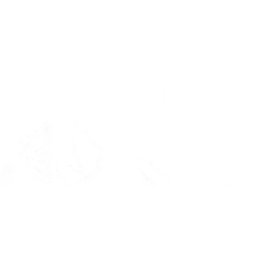 Lowe Film & Photo Ltd