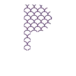 purplefish