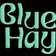 Blue Hay