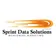 Sprint Data Solutions