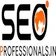 SEO Professionals