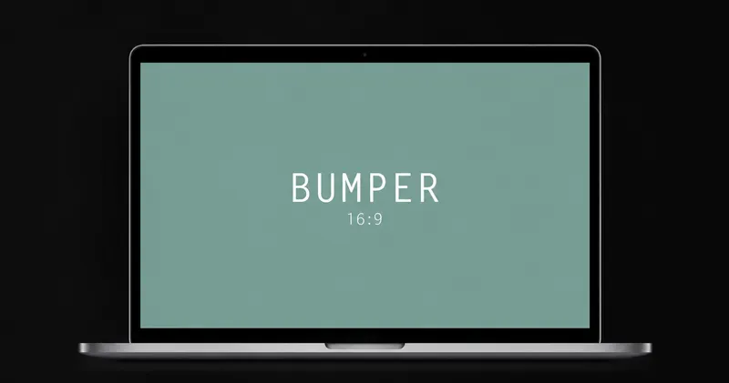 Bumper