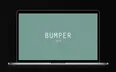 Bumper