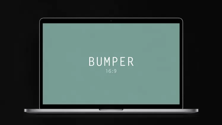 Bumper