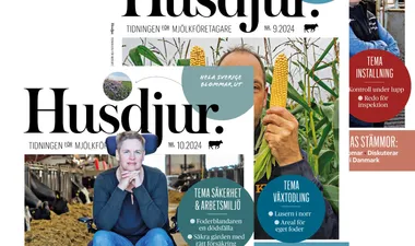 Printannonsering i Husdjur