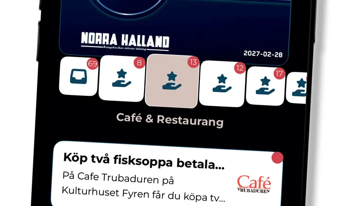 Mervärdeshäftet digitalt - tillfälliga kuponger