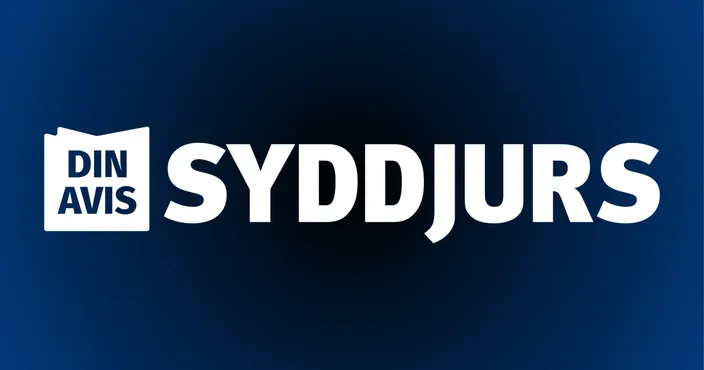 Din Avis Syddjurs logo.png