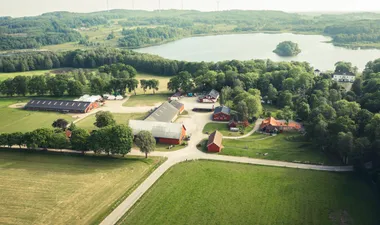 Öströö Fårfarm