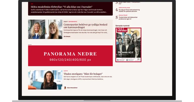 Panorama nedre