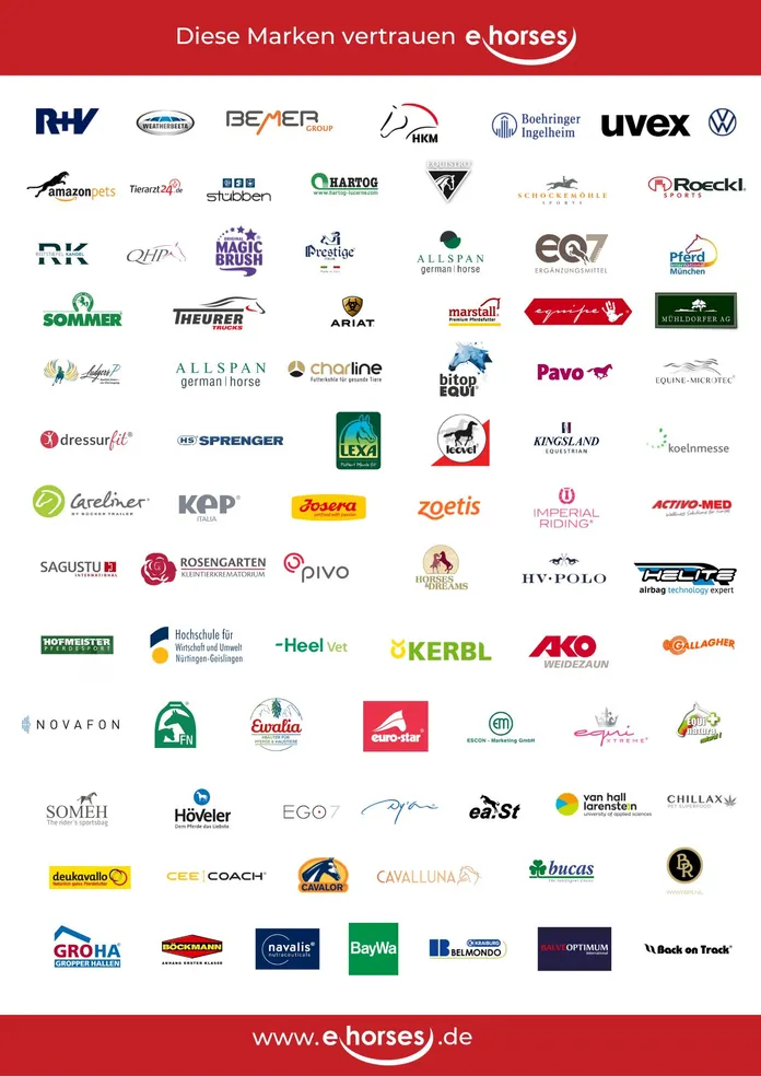 Brands who trust us