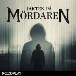 Jakten på mördaren