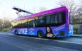 Bus Domination