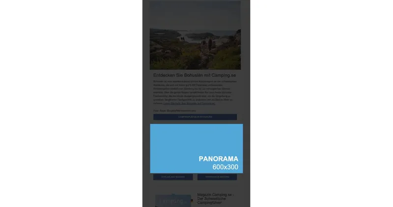 Nyhetsbrev panorama internationell målgrupp 3