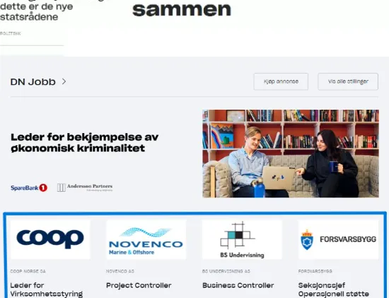 Job advertisement Basic 3
