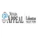 Nevada Appeal