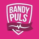 Bandypuls