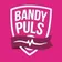 Bandypuls