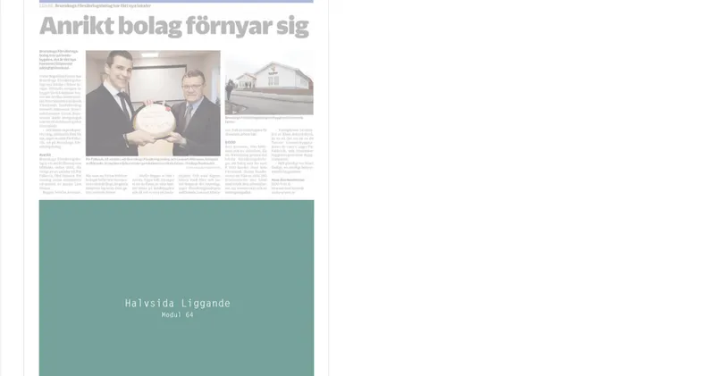 Halvsida