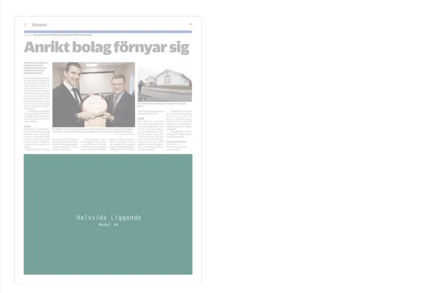Halvsida