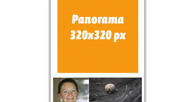 Mobil panorama