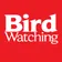 Bird watching
