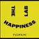 The Happiness Lab