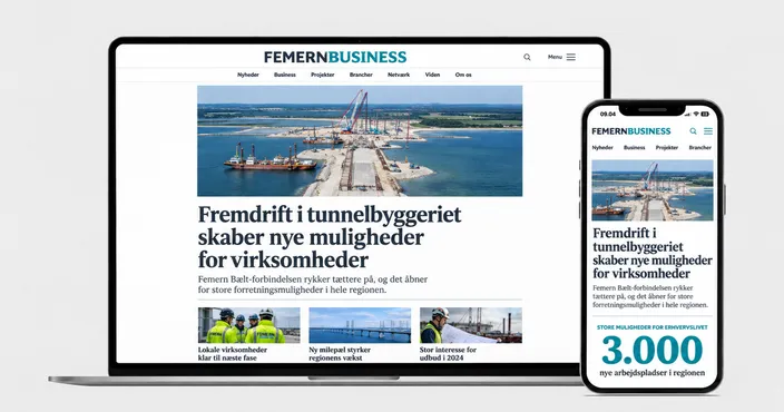 FemernBusiness1.png
