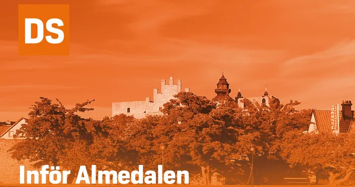 almedalenny.jpg