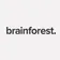 Brainforest