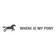 Where is my pony
