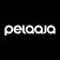 Pelaaja-lehti