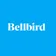 Bellbird