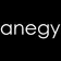 Anegy Digital Consulting