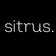 Sitrus Agency